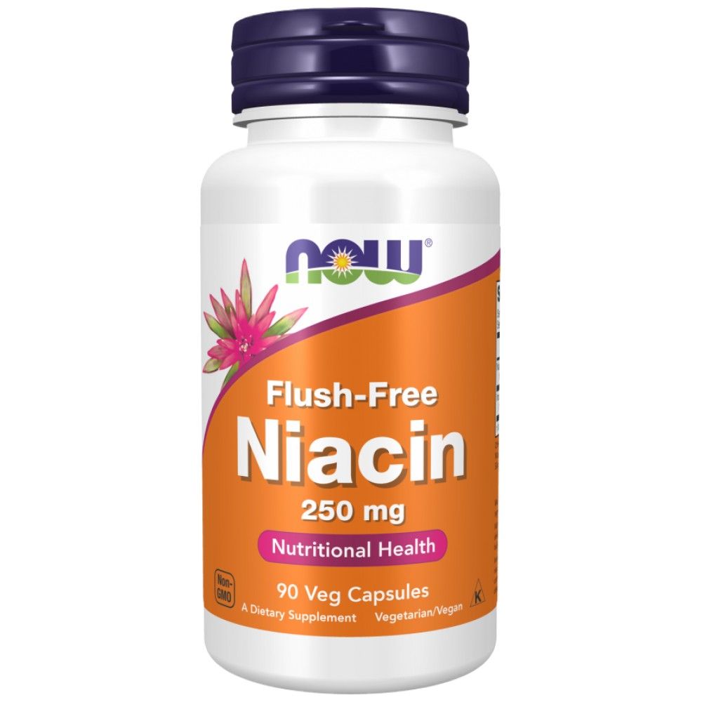 Fléissend -free Niacin 250 mg - 90 Kapselen