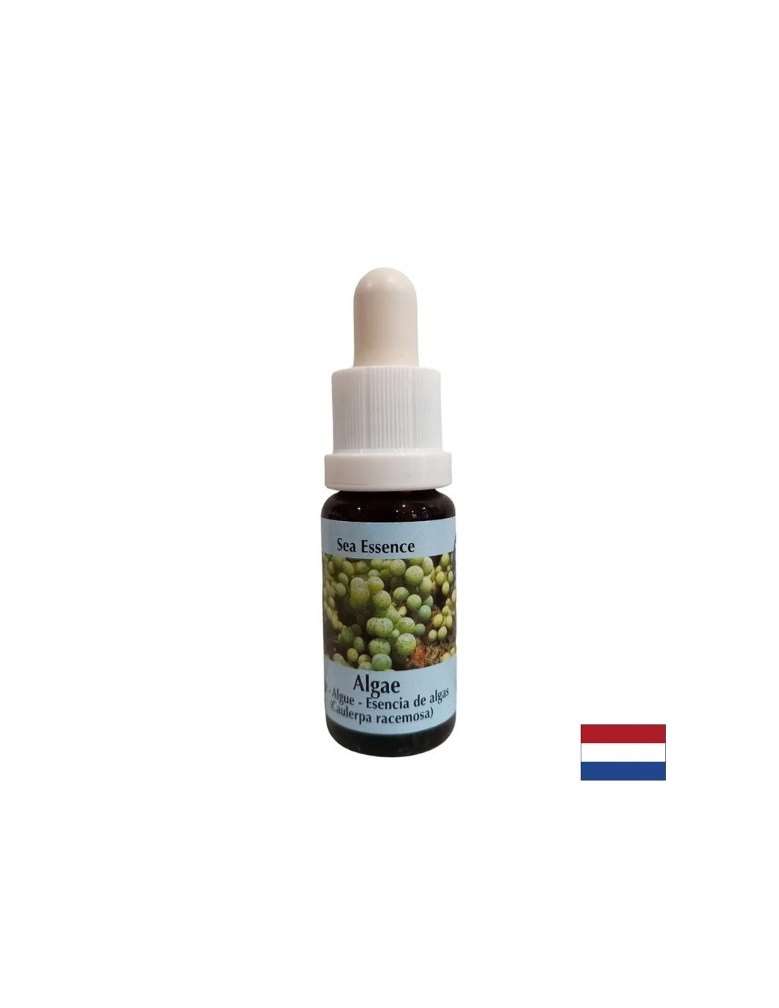 Stimulates self-healing - Algae Essence No. 1, drops 15 ml