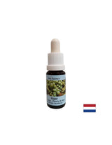 Stimulates self-healing - Algae Essence No. 1, drops 15 ml