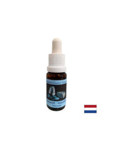 Emotional balance - Amazonite Essence No. 1, drops 15 ml