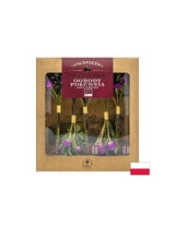 Lyophilized tea South Garden Bio, 10 g Dary Natury