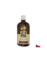 Immunity - Echinacea, 100 ml tincture