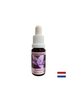 Gives confidence - Gentian Essence No. 12, drops 15 ml