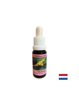Stimulates conscious change - Essence White Mistletoe No. 12, drops 15 ml