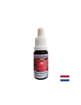 Transforms selfishness into love - Orchid Heart Essence No. 12, drops 15 ml