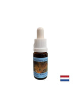 Supports positive transformation and balance - Essence Rutilated Quartz No. 13, drops 15 ml