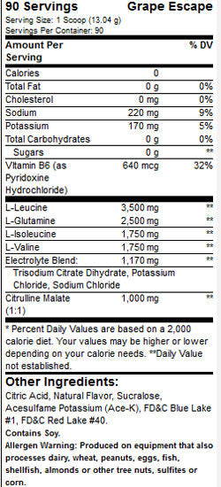 Xtend Bcaas / Intra-Workout Catalyst! / New Look - 1170 grams