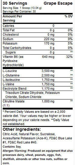 Xtend BCAAs / Intra-Workout Catalyst! / New Look - 435 grams 