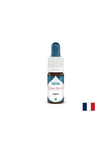 For mental clarity and balance in conditions of sensory overload - Fennel, Bach drops, 15 ml