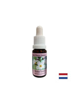 Promotes communication - Swamp Iris Essence, drops 15 ml
