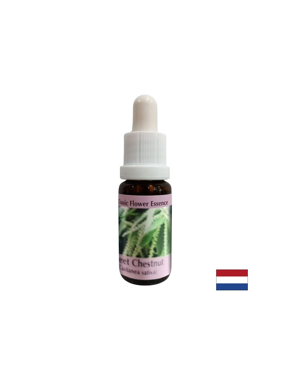 In times of despair and impasse - Sweet Chestnut Essence, drops 15 ml