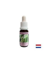 In times of despair and impasse - Sweet Chestnut Essence, drops 15 ml