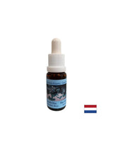Supports communication - Essence Blue Tourmaline No. 16, drops 15 ml