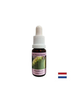 Pro více energie a motivace - Hornbeam Essence No. 17, pokles 15 ml