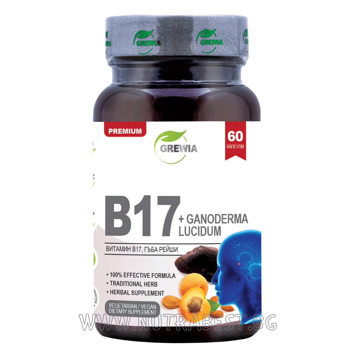 Vitamin B17 (B17) + Amigdalla + Ganoderma Luidum 60 Kappe Greft