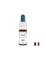Por miedo e incertidumbre - Larch, Bach cae No. 19, 15 ml