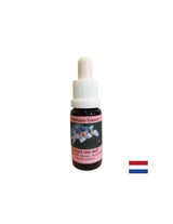 Removes negative energies and fears - Forest Forget-me-not Essence No. 19, drops 15 ml