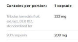 Tribulus Terrestris 90% | 200 mg saponinov - 180 kapsul