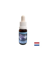 Spiritual growth and intuition - Amethyst Essence No. 2, drops 15 ml