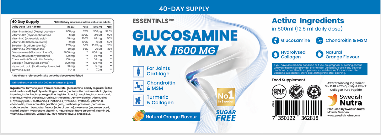 Glucosamine MAX with collagen type 2, MSM, Chondroitin (40/20 doses, 500 ml)