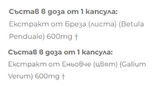 Extracto de abedul + abedul - 2 x 60 cápsulas
