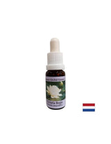 For spiritual awareness - Victoria Regia Essence No. 20, 15 ml drops