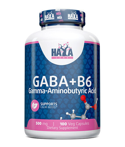 GABA + B-6 / 500mg. / 100 Vcaps - Feel You