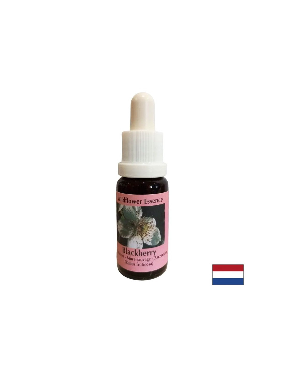 Stimulates vitality and activates creativity - Blackberry Essence No. 22, drops 15 ml