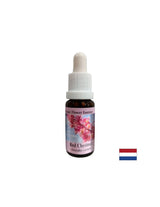 When worried about others - Red Horse Chestnut Essence No. 25, drops 15 ml