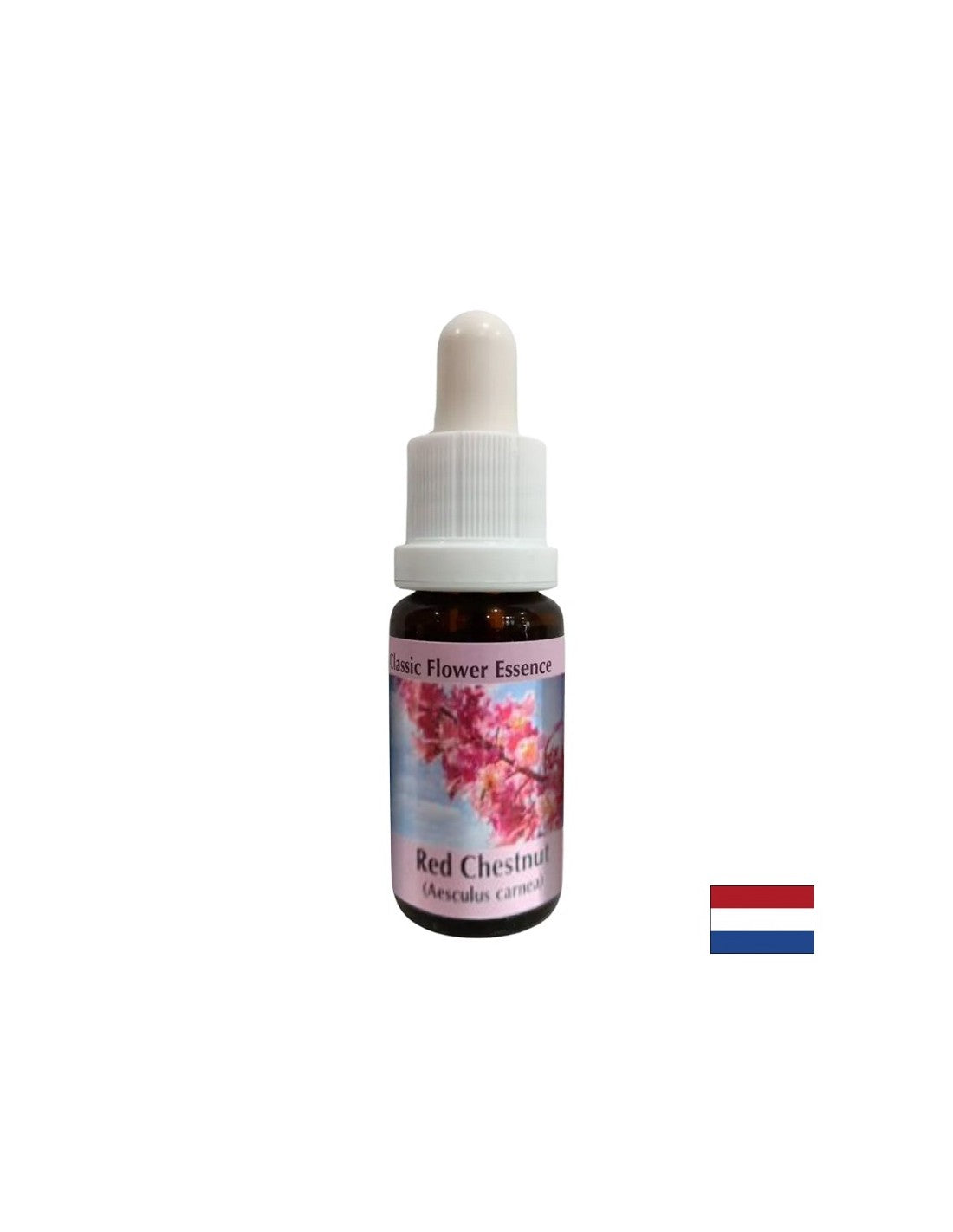 When worried about others - Red Horse Chestnut Essence No. 25, drops 15 ml
