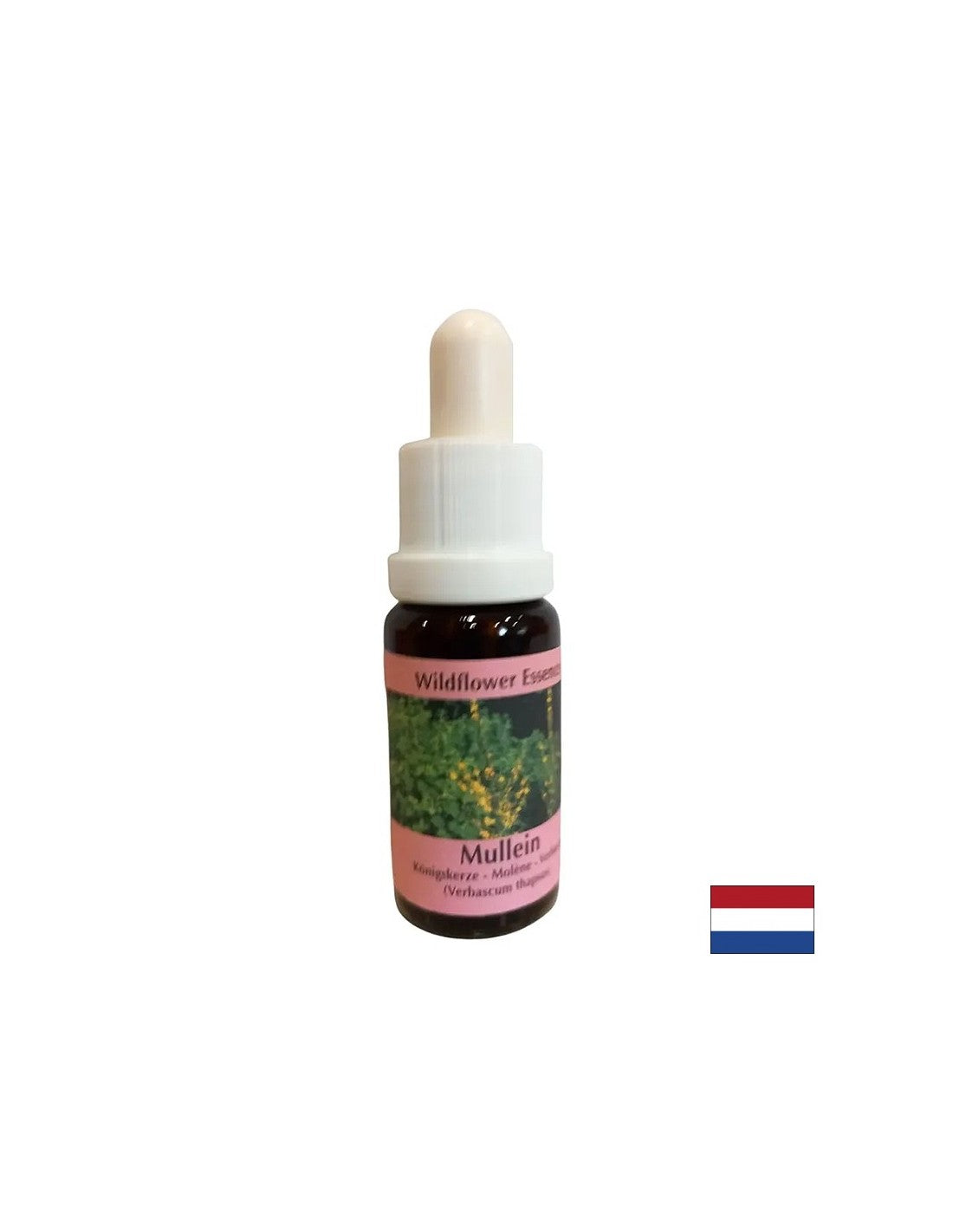 Podporuje týmovou práci a kreativitu - Lopen Essence No. 29, kapky 15 ml