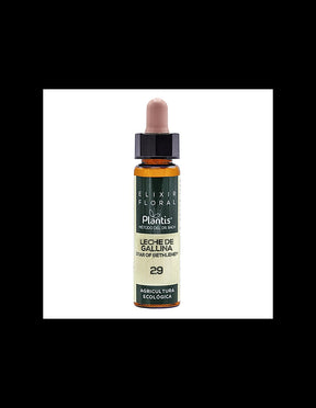 Leche de gallina (Star of Bethlehem) Elixir Floral 29 - Flower elixir of Star of Bethlehem, 10 ml Artesania - Nutra Best Europe