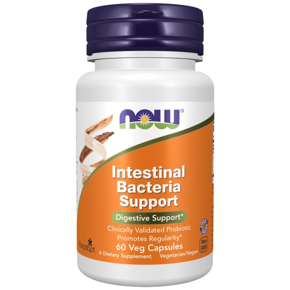 Intestinal Bacteria Support | With 3 Billion Active Cells - 60 capsules