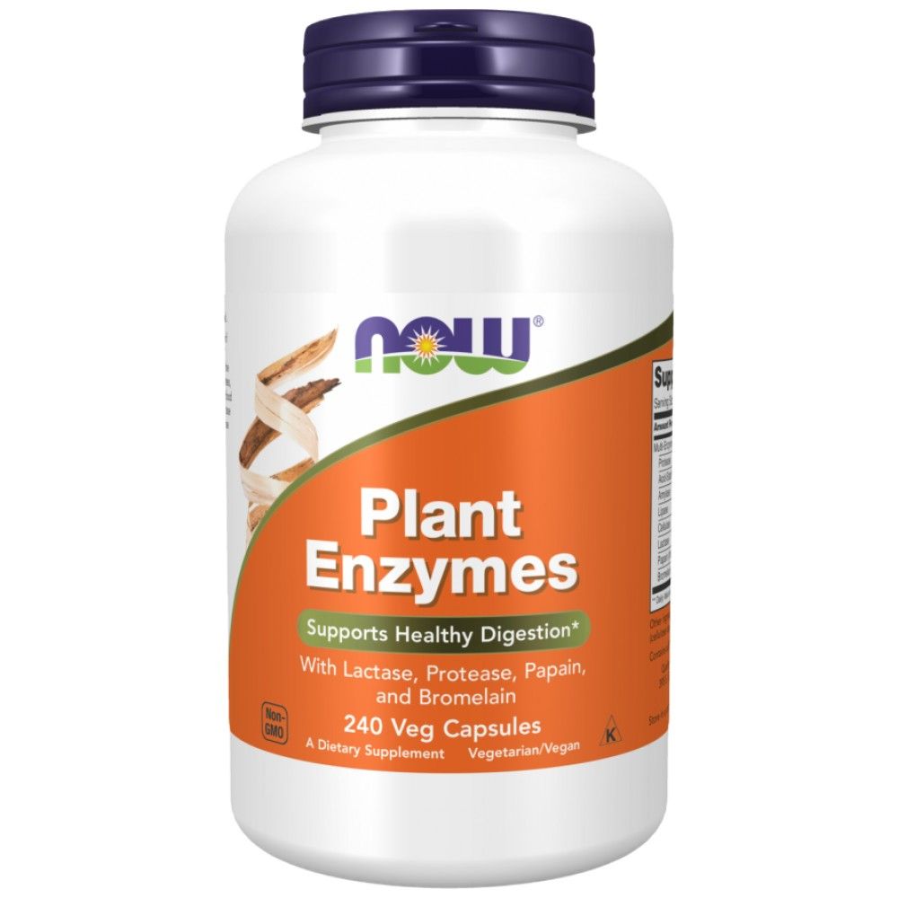 Plant Enzymes - 240 capsules