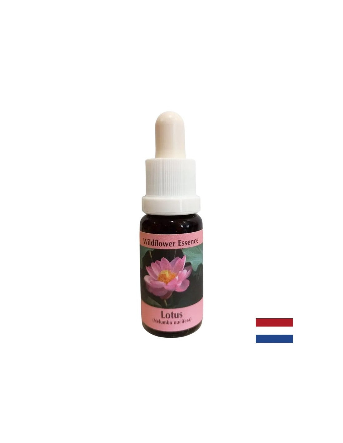 Harmonizes the chakras and opens the mind - Essence Indian Lotus No. 30, drops 15 ml
