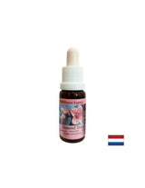 Rejuvenates the body and stimulates healthy eating - Almond Essence No. 31, drops 15 ml