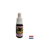 Upon change - Walnut Essence No. 33, drops 15 ml