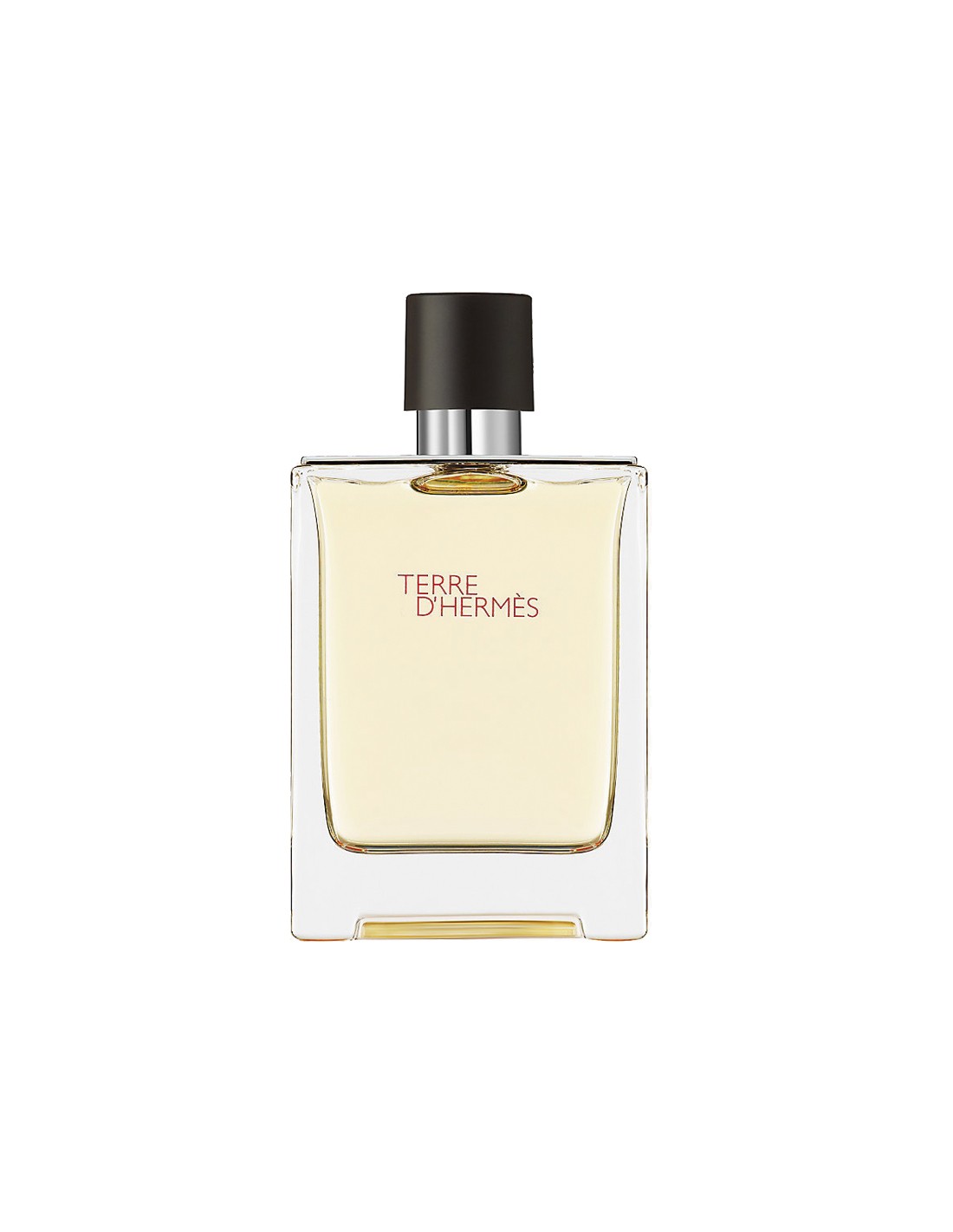 Hermes Terre's Bridders eau de Tiyyyi Sprayt 100ml