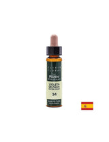 Violeta de agua (Water Violet) Elixir Floral 34 - Kvetový elixír z vodnej fialky, 10 ml Arte<tc>san</tc>oi
