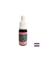 Restores rhythm and supports adaptation - Sage Essence No. 36, drops 15 ml