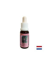 Helps to dispel negative memories - Essence Narrow-leaved Willow No. 37, drops 15 ml