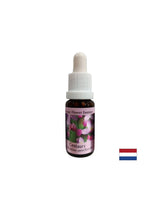 Stimulates the will - St. John's Wort Essence No. 4, drops 15 ml