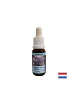 Detoxification - Essence Physalia (Portuguese galley) No. 4, drops 15 ml
