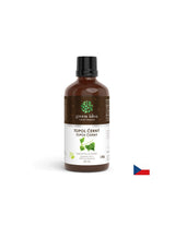 Riñones y tracto urinario - álamo negro, tintura de 50 ml