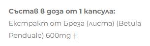 Birch Extrakt 600 mg - 60 Kapselen