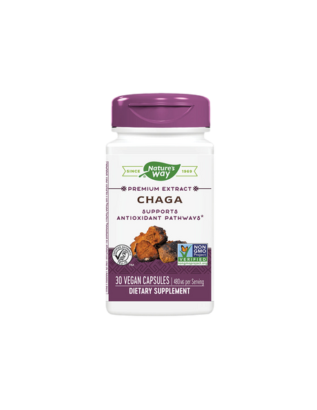 Chaga / Чага 480 mg x 30 капсули Nature’s Way - Feel You