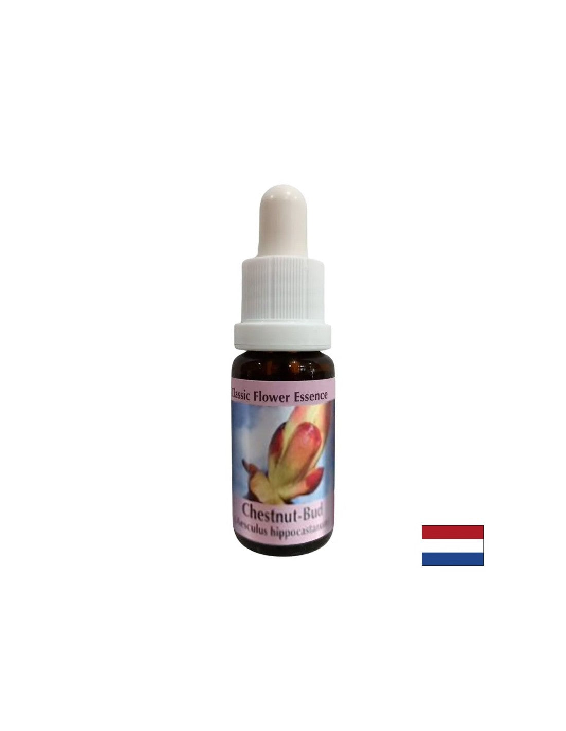 Odstraňuje blokování energie - kaštanový bud Essence č. 7, kapky 15 ml