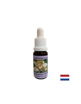 Coordinates healing energies - Essence Coordinating Orchid No. 8, drops 15 ml