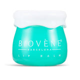 Lip balm with avocado and collagen for volume and softness - 8 grams