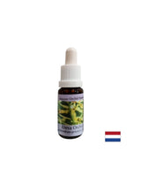 Brings people closer to the energy of nature - Essence Orchid Deva No. 9, drops 15 ml